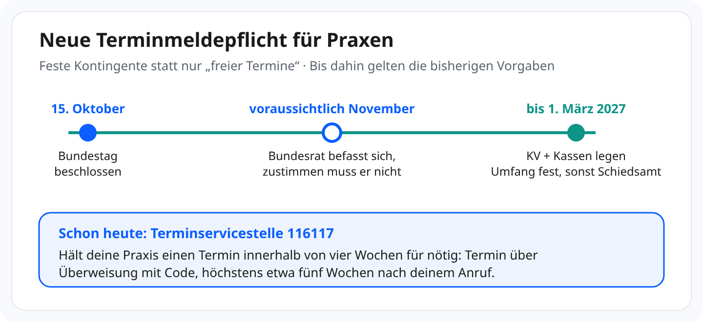 Schaubild Terminmeldepflicht: 15. Oktober Bundestag beschlossen, voraussichtlich November Bundesrat, bis 1. März 2027 legen KV und Kassen den Umfang fest, sonst Schiedsamt. Schon heute: mit Dringlichkeit Termin über die 116117 höchstens etwa fünf Wochen nach dem Anruf.