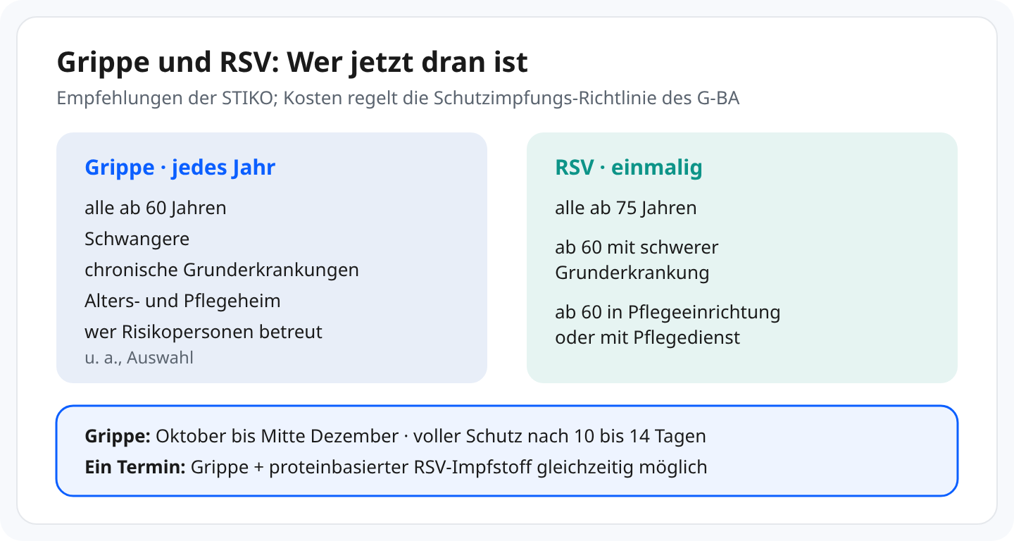 Schaubild: Grippeimpfung jedes Jahr, unter anderem für alle ab 60, Schwangere, Menschen mit chronischen Grunderkrankungen, im Alters- oder Pflegeheim und wer Risikopersonen betreut. RSV-Impfung einmalig für alle ab 75 sowie ab 60 mit schwerer Grunderkrankung, in einer Pflegeeinrichtung oder mit Pflegedienst. Grippe: Oktober bis Mitte Dezember, voller Schutz nach 10 bis 14 Tagen. Grippe und proteinbasierter RSV-Impfstoff an einem Termin möglich. Für die Empfehlungsgruppen zahlt die Kasse; das regelt die Schutzimpfungs-Richtlinie des G-BA.