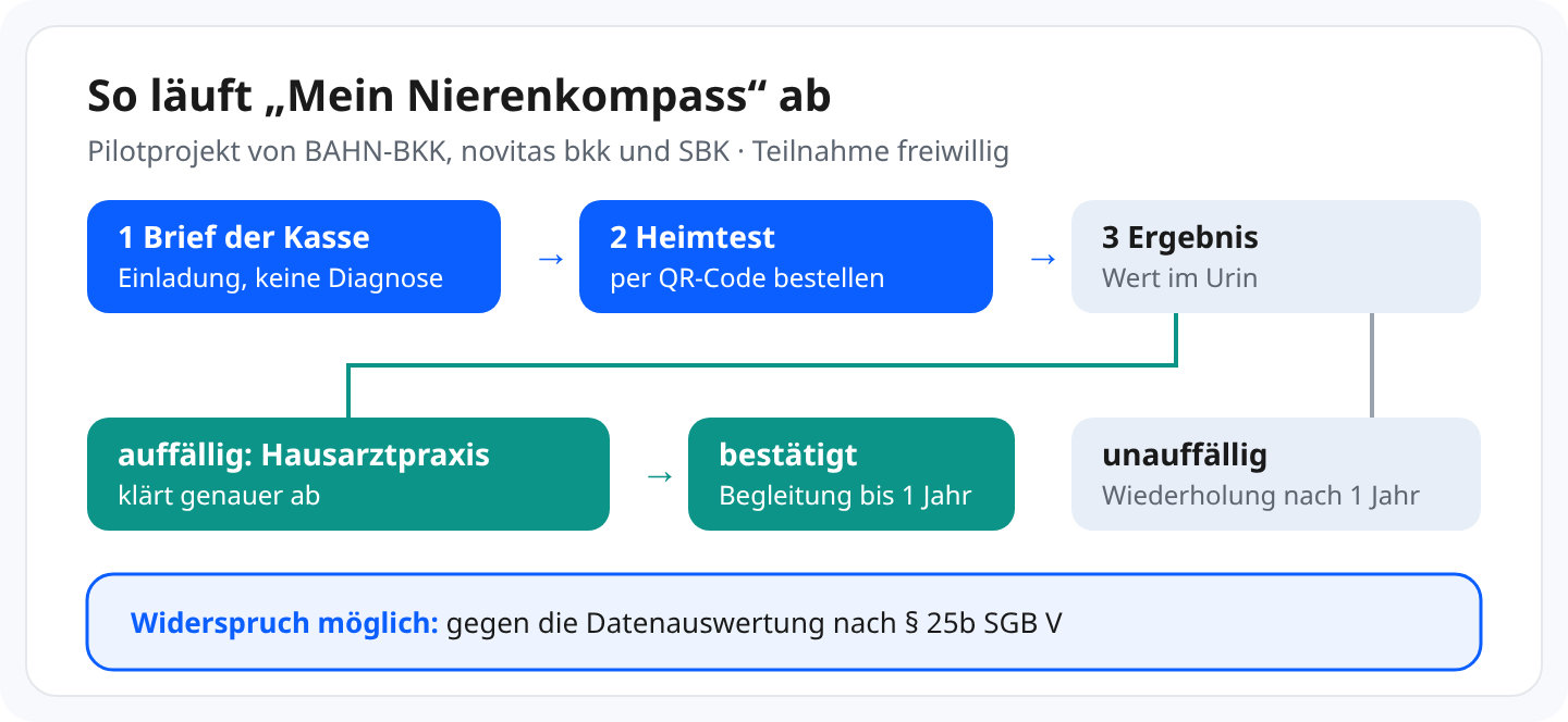 Schaubild Ablauf: Brief der Kasse als Einladung, Heimtest per QR-Code bestellen, Ergebnis. Auffällig: Abklärung in der Hausarztpraxis, bei Bestätigung Begleitung bis zu einem Jahr. Unauffällig: Wiederholung nach einem Jahr. Widerspruch gegen die Datenauswertung nach Paragraf 25b SGB V möglich.